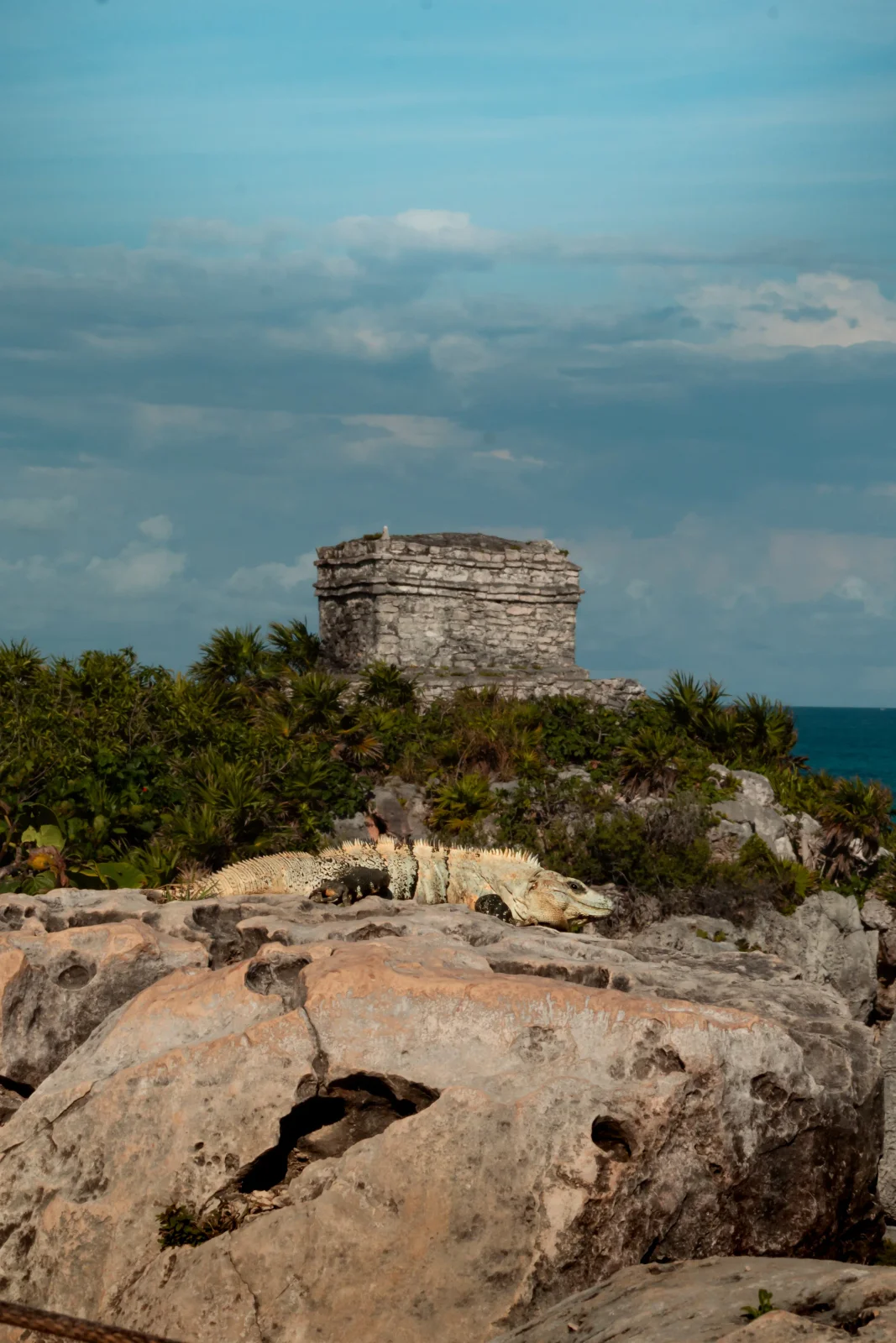 nature photography by JRMGraphy